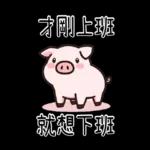 豬豬聯萌_你是豬嗎?只會吃