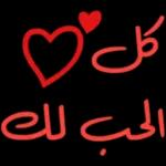 وتذكر دائما أنك تعني لي الكثير