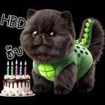 เหมียวดำ ไดโนเขียว