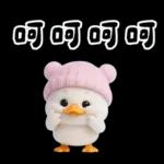 萌鴨諧音梗嗆人