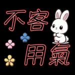 就是可愛的小兔子