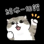 愛撒嬌的奶油小生 (虎斑貓)