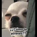 maiky