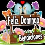 paty5