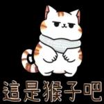 新的一週要開始啦！！