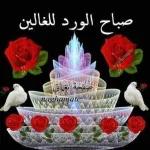 حفظك
الله
من كل سوء