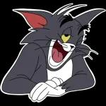 Tom and Jerry
                            Liza Fomushkina