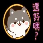 汪汪小夥伴 悠閒日常全螢幕