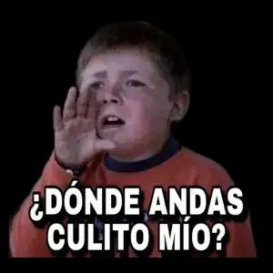 ¿DÓNDE ANDAS CULITO MÍO? - getsticker.com