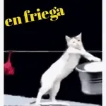 Te Amo