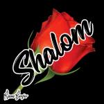 Shalom