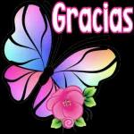 gracias