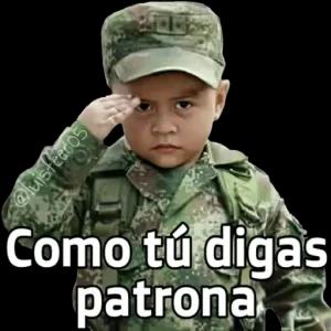 @luisfeeros 1011 Como tú digas patrona - getsticker.com