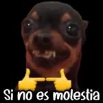 TAMO