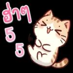 สู้ ๆ นะตัวฉัน ไม่มีอะไรที่จะแย่ไปตลอดหรอก.🙂