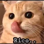 puedo opinar algo?