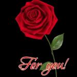 Flower is for you🌺