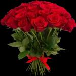 rosas 