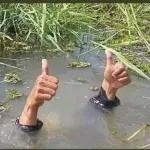 intersting memes🤓