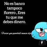 amigo 