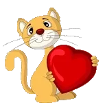 ⏰ Tempo critico‼️