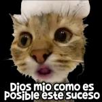 dios mio como es posible este suceso