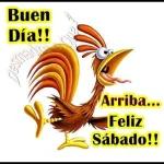 Buen Día!! Arriba... Feliz Sábado!!