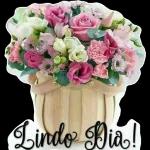 Feliz inicio de semana