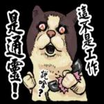 感恩你，你最棒！！！
