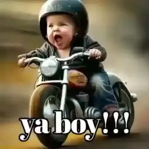EDObKO