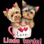de amor