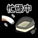 ♡ 貓咪愛你 ♡ 實用日常(含母親節祝福)