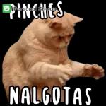 Fuera de aquí! ¡Fuera!, ¡Fuera!