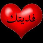 أنت شمسی و همري وكل نجومي