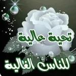 جديد