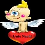 Gute
Nacht