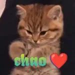 chao