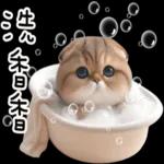 折耳貓貓 ❤ 給你一個讚 ❤