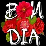 Bom dia