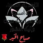 محتويات