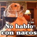 nuevos
