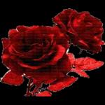 نسانهاییصباح الخ
