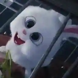 Sólo quiero saludarte