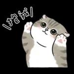 愛撒嬌的奶油小生 (虎斑貓)