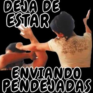 DEJA DE ESTAR ENVIANDO PENDEJADAS  - getsticker.com