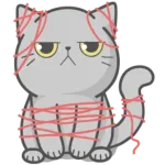 cute cat ❤️❤️