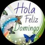 buenas noches 