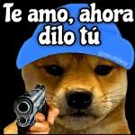 hola y adios