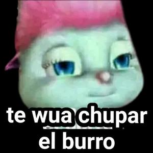 3b6uonq