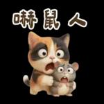 花貓超可愛諧音梗